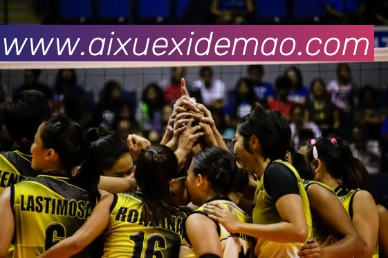 米兰平台app体育 - 官方版 - 米兰电竞直播APP 高清赛事图